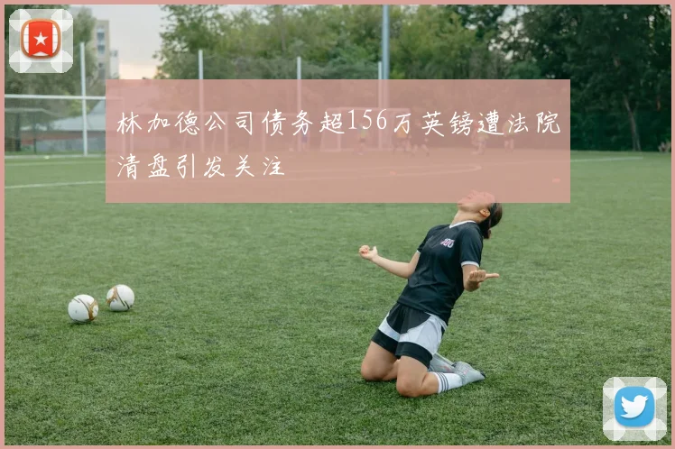 林加德公司债务超156万英镑遭法院清盘引发关注