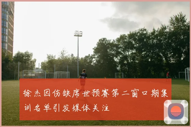 徐杰因伤缺席世预赛第二窗口期集训名单引发媒体关注