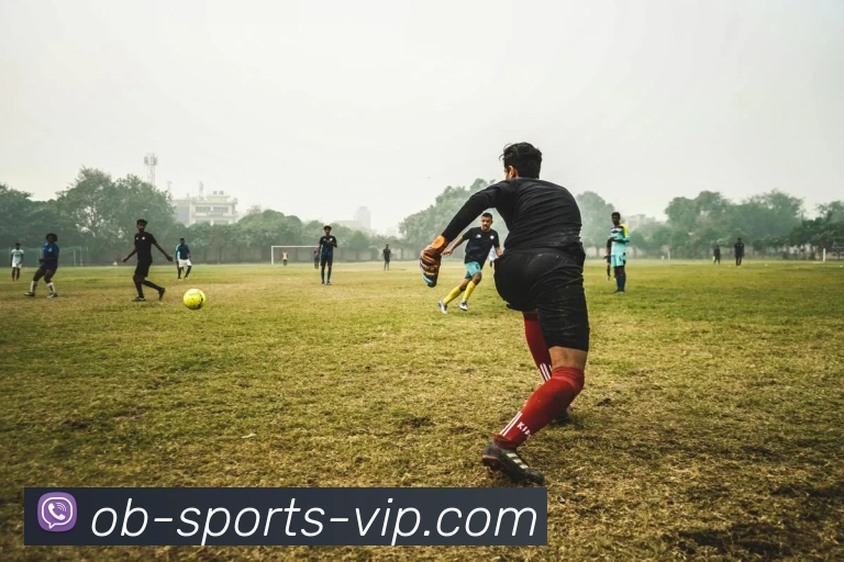 OB体育APP 封面图